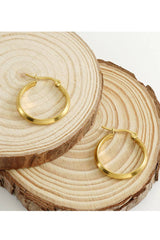 18K Gold Plated Stainless Steel Earrings_Cwaje0388