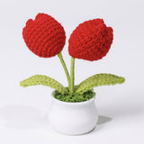 Cwmm9270_Hand-Woven Bouquet Potted Plant Ornaments