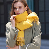 FASHION SCARF SOFT FAUX CASHMERE WITH TASSELS_CWASC0174