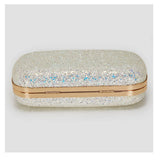 FASHIONABLE LADY EVENING BAG SHINY CLUTCH BAG_CWAB3243