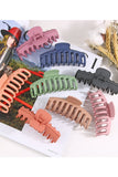 DAILY MULTICOLOR HAIR CLAW HAIR CLIPS