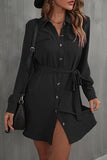 BUTTON DOWN DANDY SHIRTS DRESS - Doublju