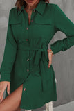 BUTTON DOWN DANDY SHIRTS DRESS - Doublju