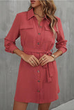 BUTTON DOWN DANDY SHIRTS DRESS - Doublju