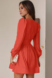 WOMEN SEXY DEEP V NECK LONG SLEEVE MINI DRESS