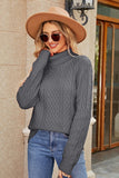 WOMEN CABLE KNIT TURTLE HIGH NECK LOOSE SWEATER