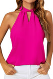 DEEP HOLE NECK BACK TIED HALTER TOP - Doublju