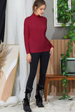 LONG SLEEVE TURTLE NECK TUNIC CASUAL TOP