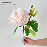 LONG STEM DOUBLE PEONY ARTIFICIAL FLOWER DECOR_CWMM6462