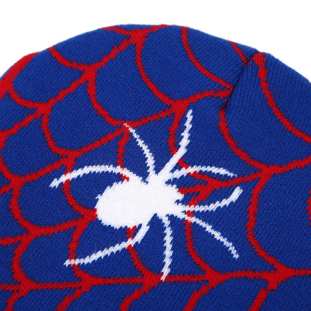 OUTDOOR SPIDER WEB JACQUARD KNITTED HAT_CWAH1599