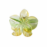 NEW GRADIENT PLUMERIA CLAW CLIP FOR WOMEN_CWAHA1057