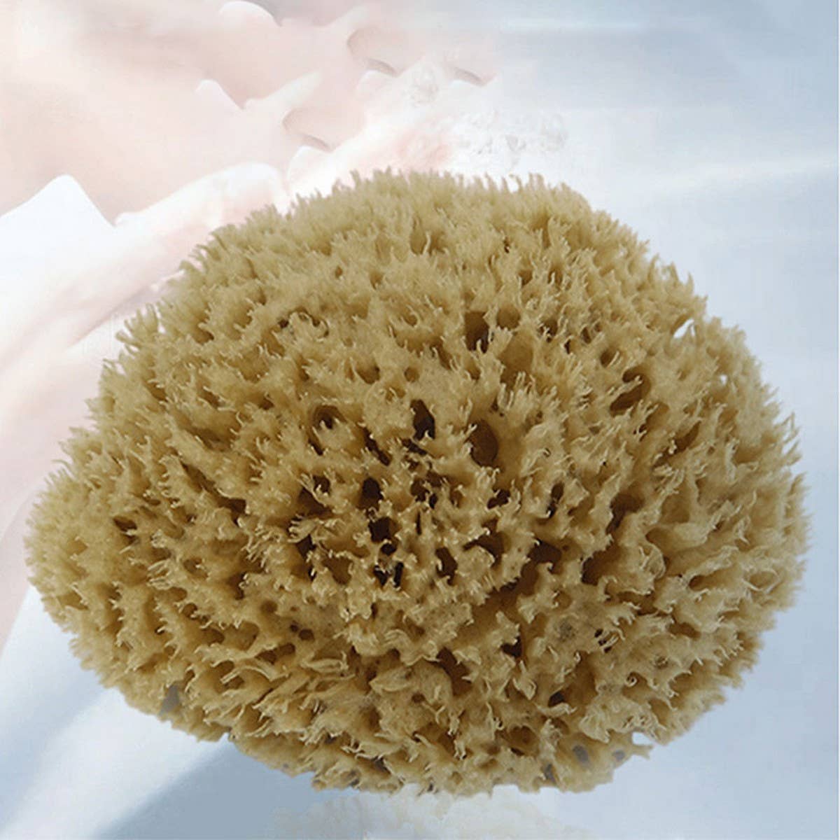 NATURAL COFFEE COLOR SPONGE HONEYCOMB SPONGE_CWMM3418