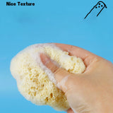 NATURAL COFFEE COLOR SPONGE HONEYCOMB SPONGE_CWMM3415