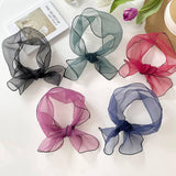ORGANZA SOLID COLOR LONG SMALL SILK SCARF_CWASC0744