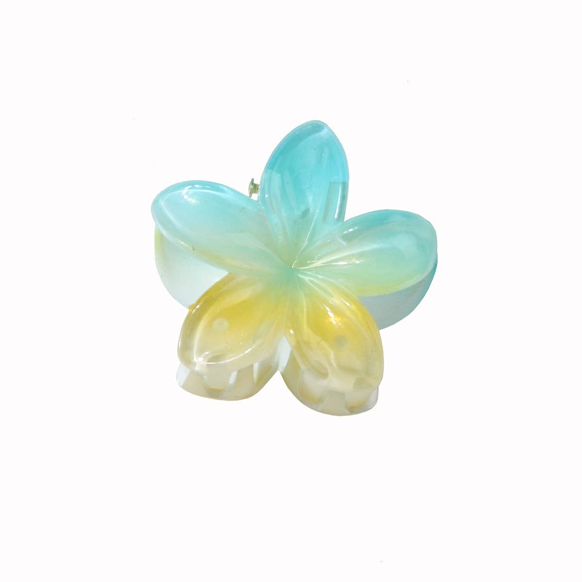 CANDY COLOR PLUMERIA HAIR CLAW SWEET FLORAL CLIP_CWMM4985