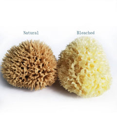 NATURAL SPONGE FOR WASHING FACE AND BATHING_CWMM3416