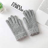 Womens Warm Touch Screen Fashion Gloves_Cwmm1503