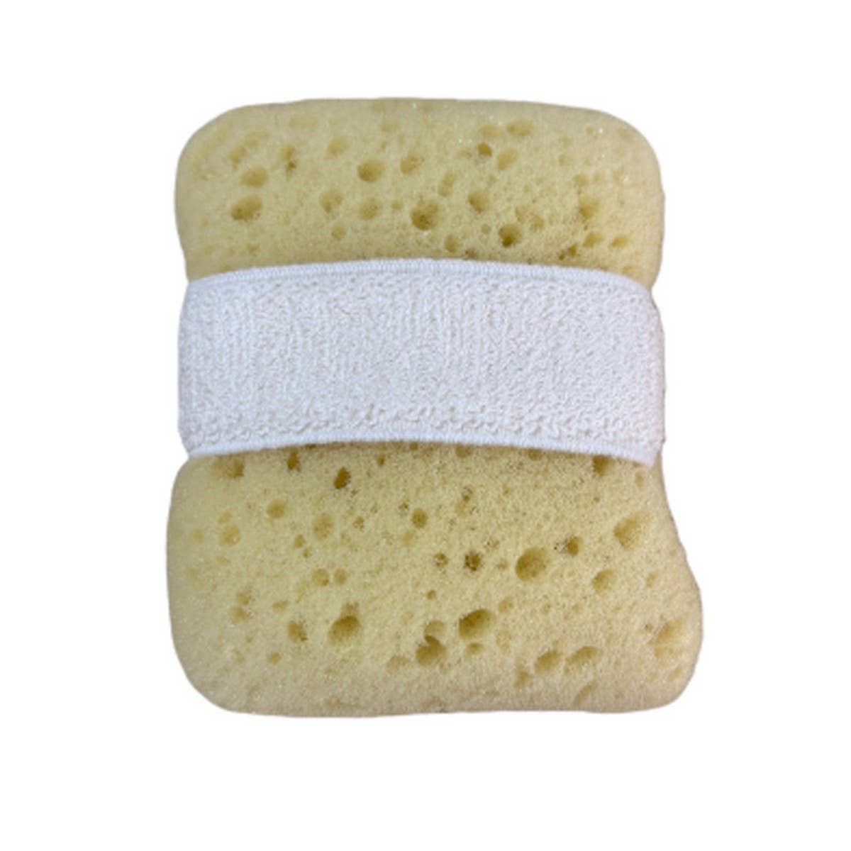 BATH SPONGE EXFOLIATING SPONGE BATH SPONGE_CWMM3404
