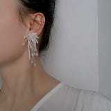 FIREWORKS RETRO ELEGANT DRESS EARRINGS_CWAJE1698