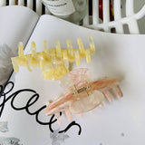 COLORFUL FLORAL ACETATE HAIR CLAW LARGE CHIC CLIP_CWAHA2155