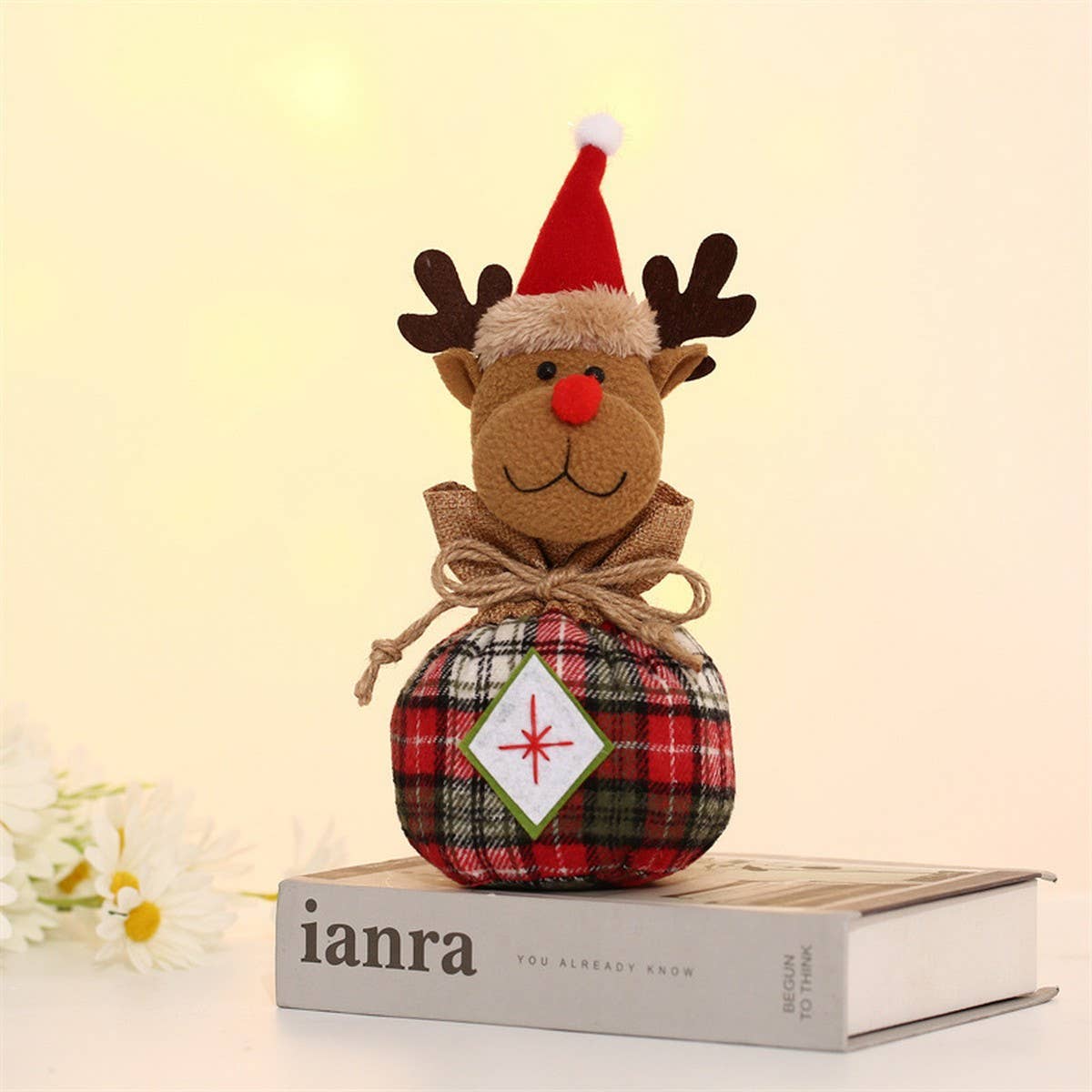 CHRISTMAS CARTOON APPLE BAG GIFT BAG_CWMM1897