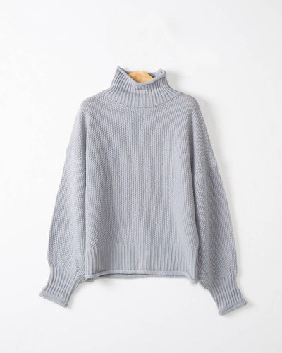 Stylish Casual Turtleneck Sweater In Solid Color