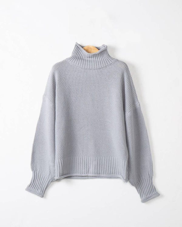 Stylish Casual Turtleneck Sweater In Solid Color