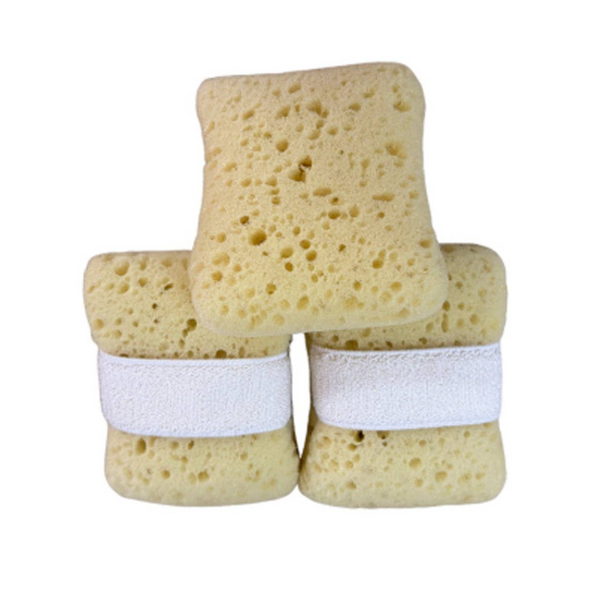 BATH SPONGE EXFOLIATING SPONGE BATH SPONGE_CWMM3404