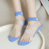 SUMMER DAISY GIRL LOW TOP THIN TRANSPARENT SOCKS_CWMS0401