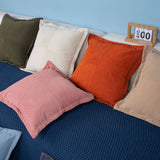 MODERN MINIMALIST WIND LAMP CORE VELVET PILLOWCASE_CWMM0871