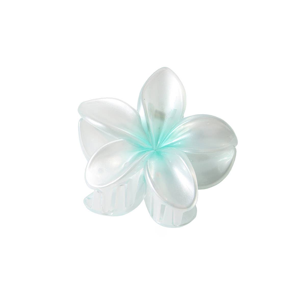 PEARLESCENT FLOWER HAIR CLAW GRADIENT CHIC CLIP_CWAHA1044