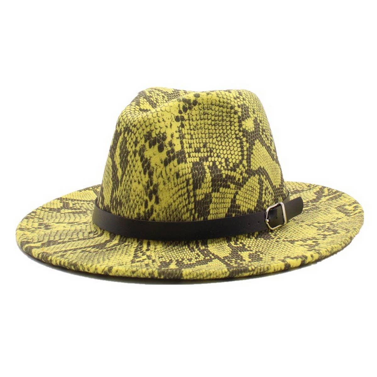 Wool Hat Snake Pattern Flat Brim Felt Hat Jazz Hat_Cwah2589