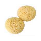 LARGE POROUS SEAWEED BATH SPONGE_CWMM3411