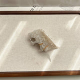 NEW ACETATE LEOPARD CLAW CLIP MEDIUM CARTOON CLIP_CWAHA5896