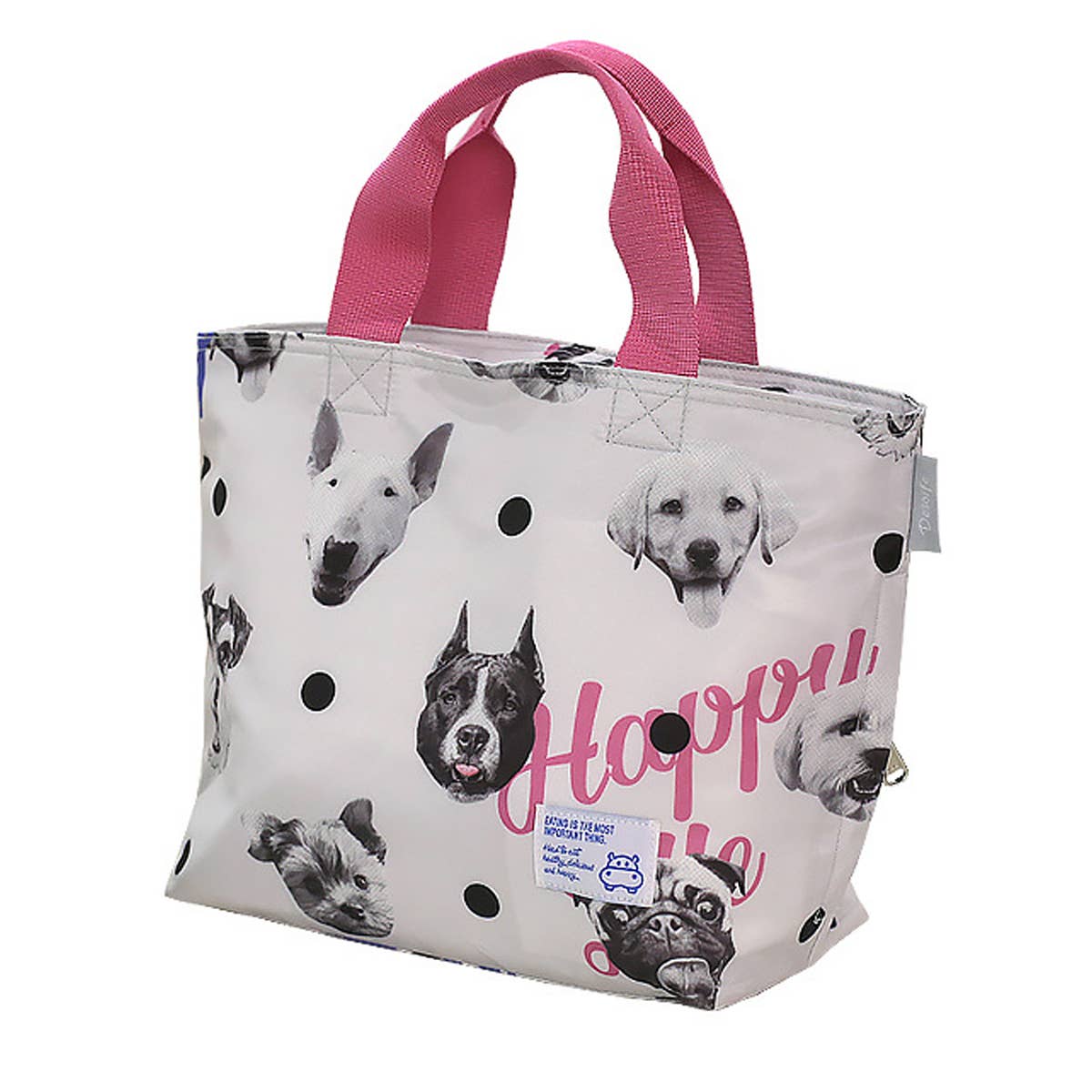 Fashionable Insulated Lunch Bag_Cwab1858