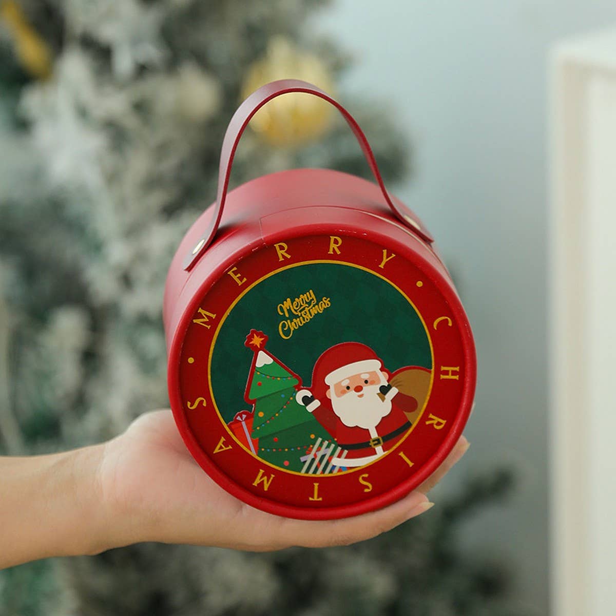 Christmas Apple Gift Box Holiday Pouch_Cwmm10570