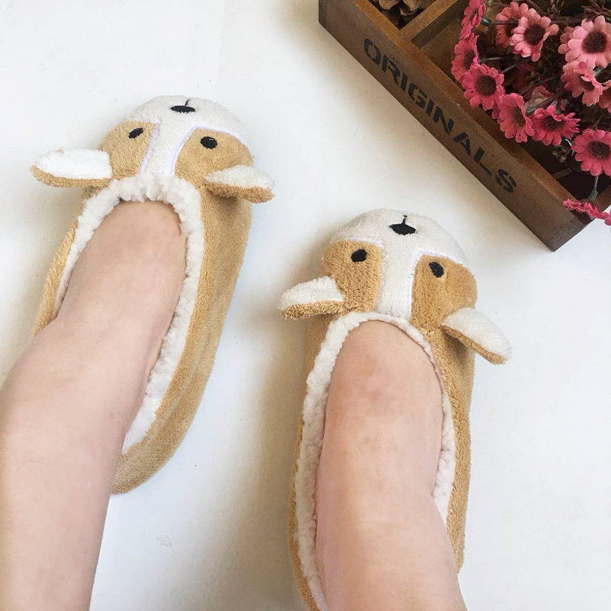 CUTE FLOOR SOCKS LADIES HOME FLOOR SHOES_CWMS1190