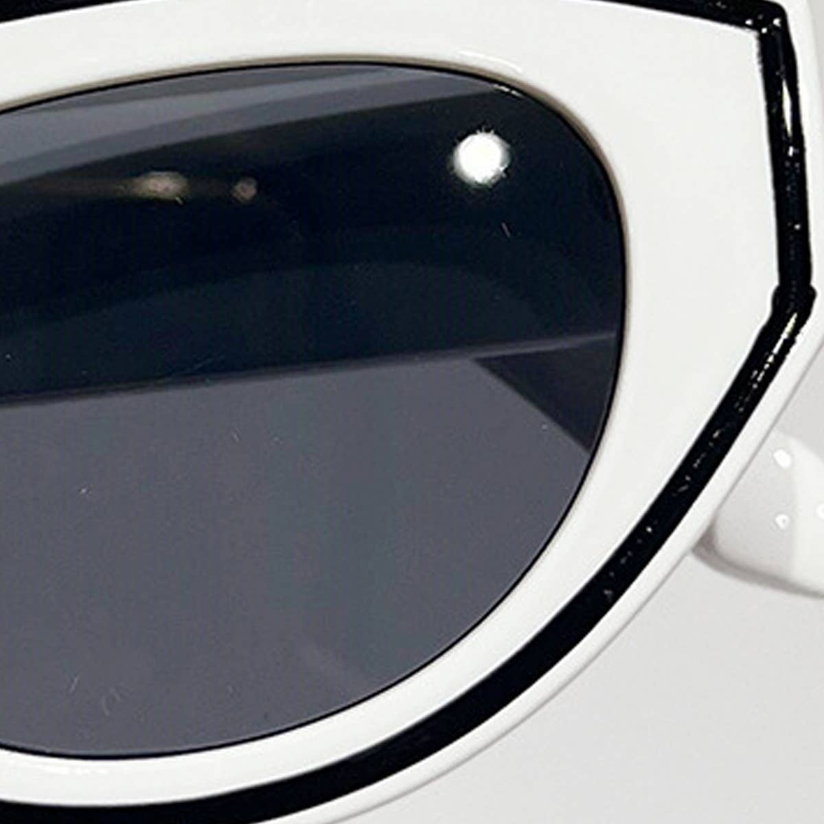 PAINTED CAT EYE SUNGLASSES_CWASG0420