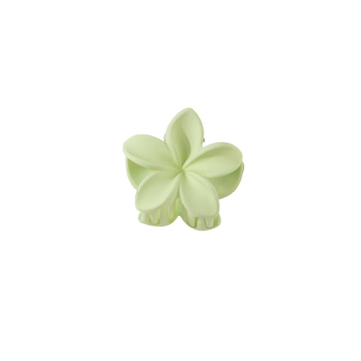 CANDY COLOR PLUMERIA CLAW CLIP SMALL FLOWER CLIP_CWMM4939