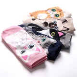 CUTE CAT PATTERN ANKLE SOCKS_CWMS0210