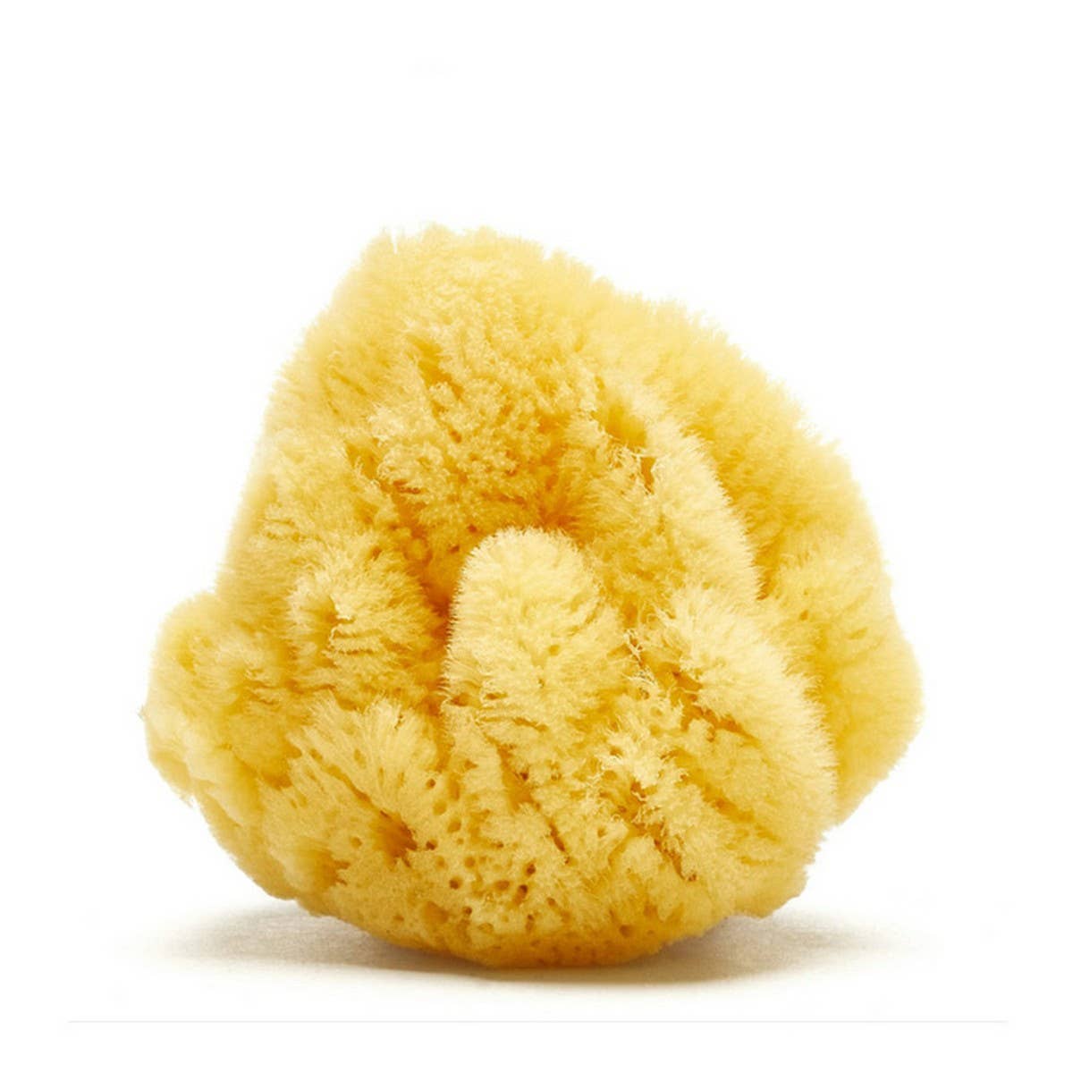 HARD HEAD EXFOLIATING NATURAL SPONGE VELVET SPONGE_CWMM3422