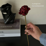 BURNT EDGE ANGORA ROSE FOR HOME PHOTO DECOR_CWMM6571