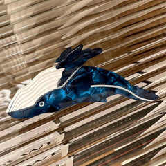 Clolor Contrasting Dolphin Acetate Hair Claws_Cwaha0857