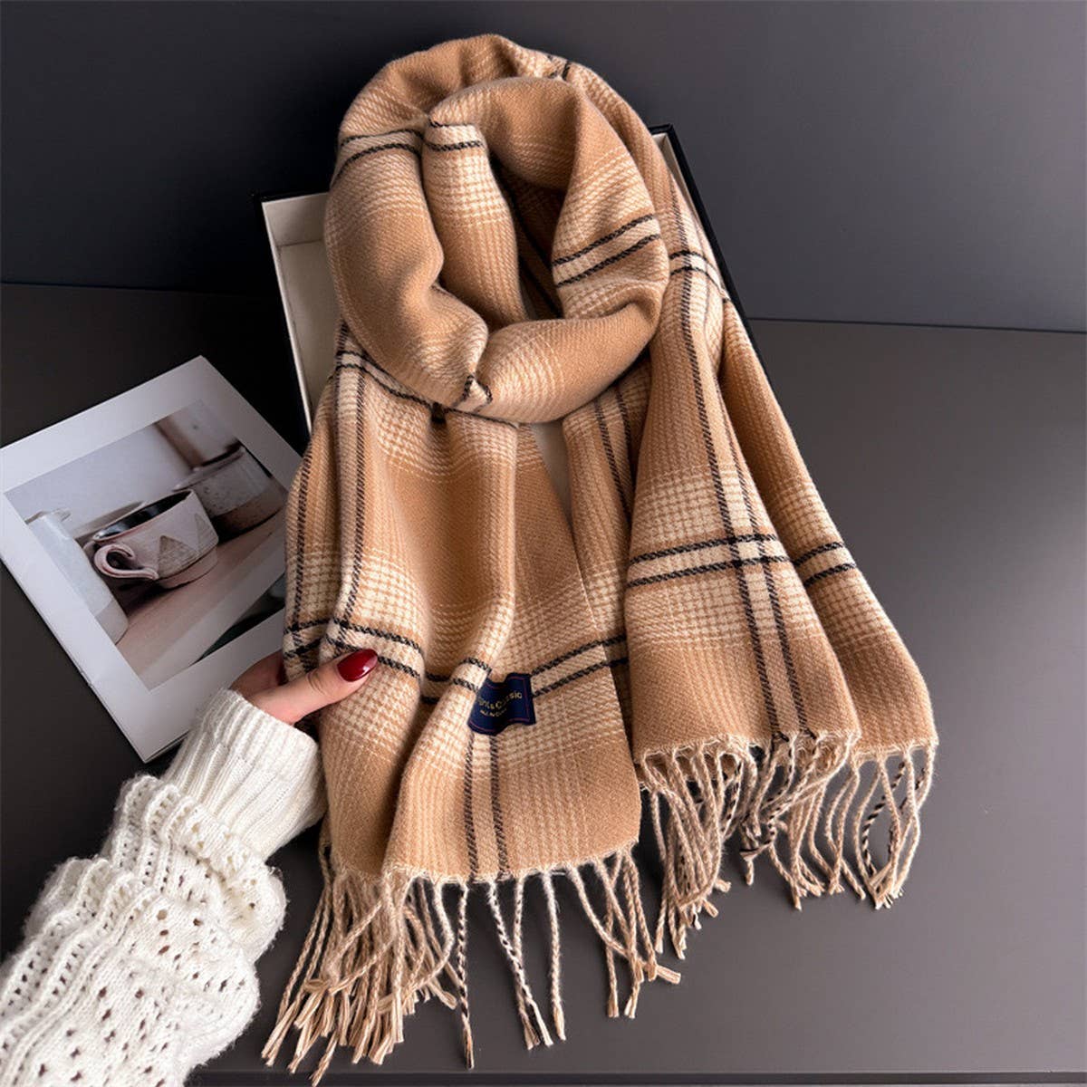 Elegant Plaid Feel Soft Winter Tassel Scarf_Cwasc03241