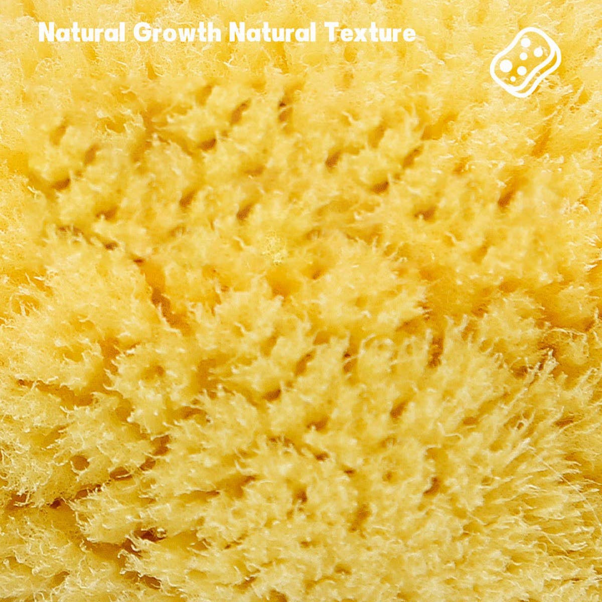 HARD HEAD EXFOLIATING NATURAL SPONGE VELVET SPONGE_CWMM3422
