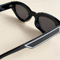 PAINTED CAT EYE SUNGLASSES_CWASG0420