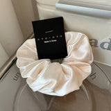 ELEGANT TEXTURE COLON HAIR SCRUNCHIES_CWAHA1725