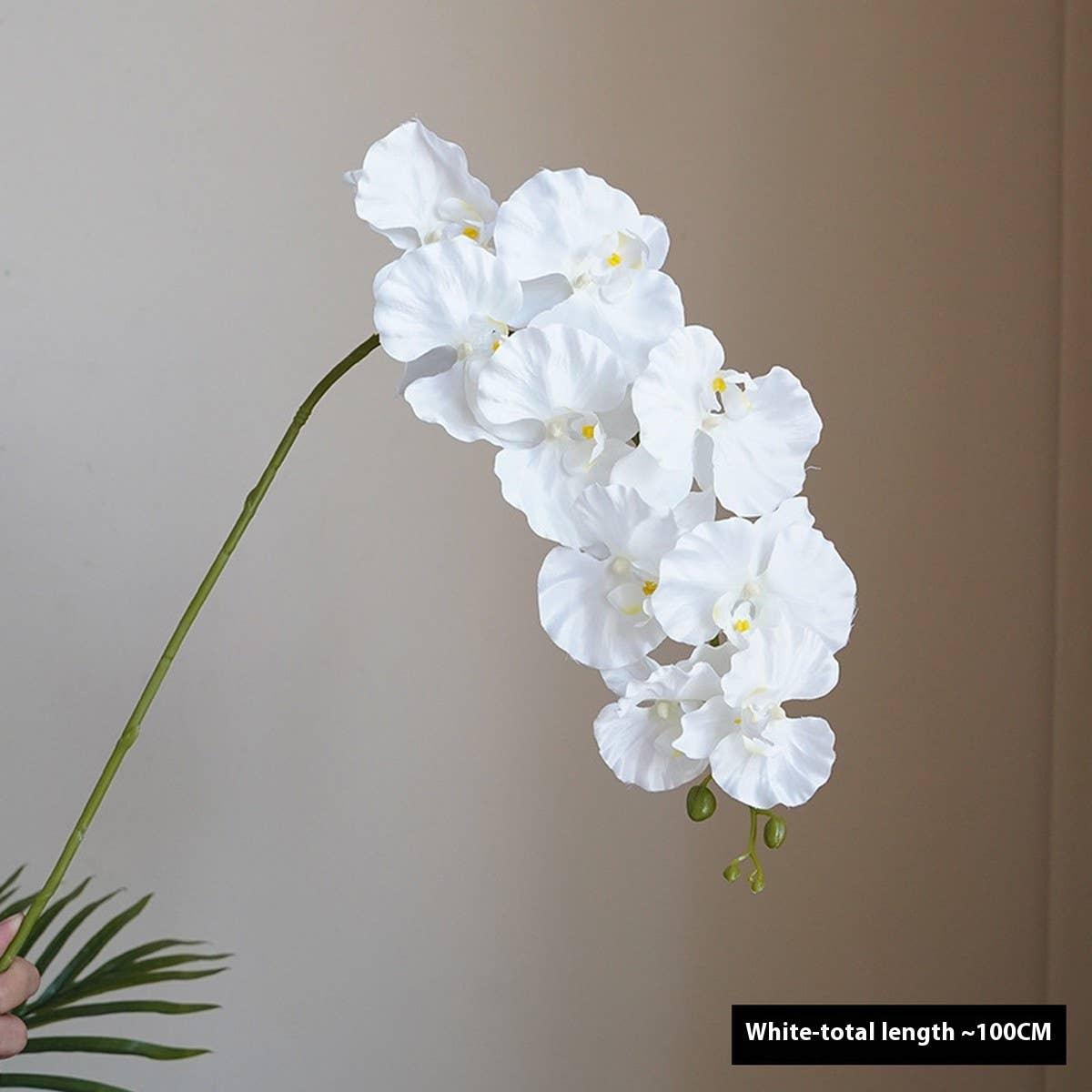 PREMIUM SILK 9 HEAD PHALAENOPSIS ORCHID HOME DECOR_CWMM6479