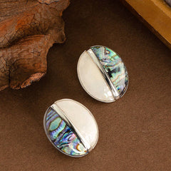 Vintage Natural Colorful Abalone Earrings_Cwmm4344