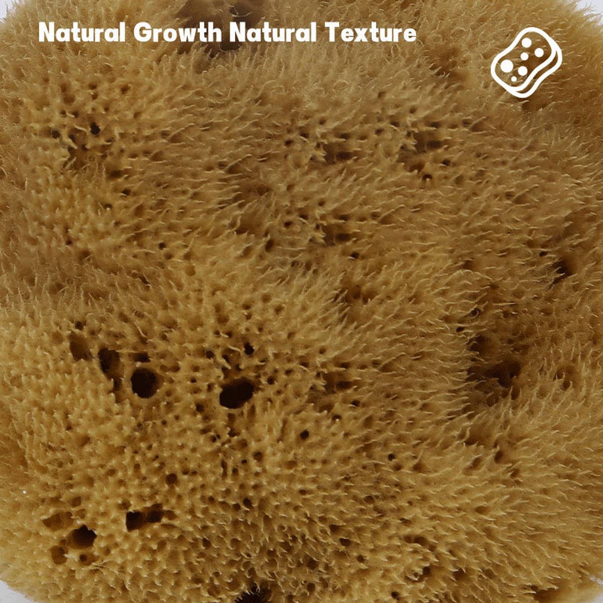 NATURAL SPONGE COFFEE COLOR NATURAL VELVET SPONGE_CWMM3419